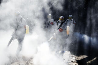 Fogging